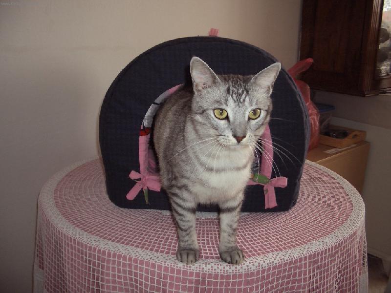 Foto: mina-v boude