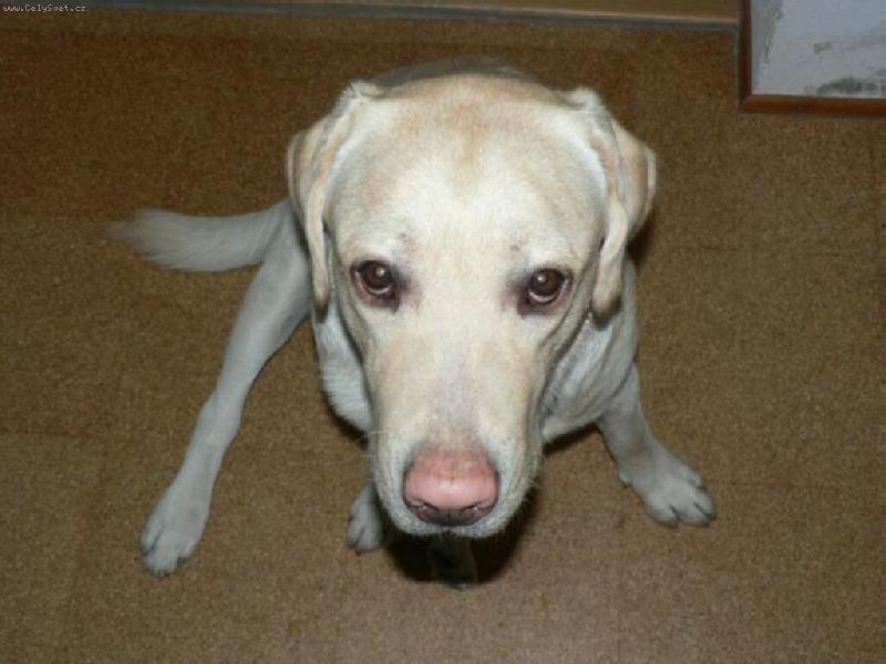 Foto: Garp
