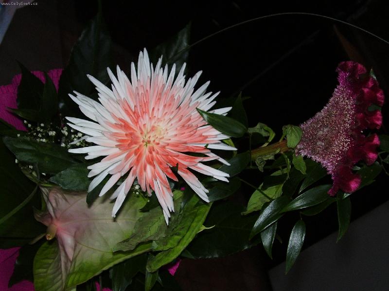 Foto: K sv�tku