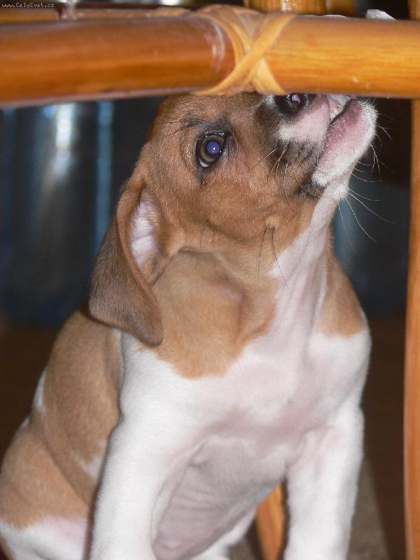 Foto: Jackie