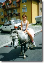 pon�k a m�sto