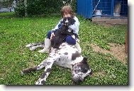 Na�e holky