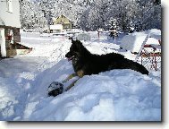 Odpo�inek na sn�hu:-)