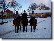 Agenti na kon�ch