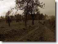 Cesti�ka