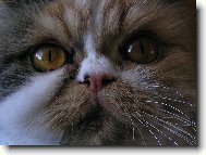 Vid�m t�!