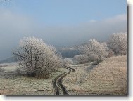Cesti�ka