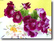 M� glox�nie