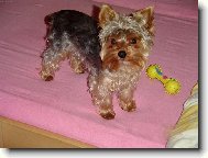Bert�k
