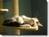 odpoledn� siesta
