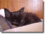 nechte m� sp�t