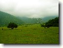 �zerb�jd��n