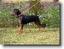 N�meck� pin�