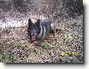 N�meck� ov��k