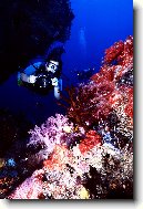 Papua-Nov� Guinea