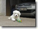 Slovensk� �uva�