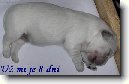 �t�n� a v�e o n�m