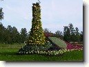 �v�dsko (Cestopis)