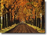 Puzzle on-line