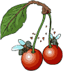 V�ce smajl�k� ke sta�en�