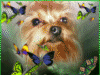 V�ce smajl�k� ke sta�en�