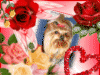 V�ce smajl�k� ke sta�en�