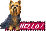 V�ce smajl�k� ke sta�en�
