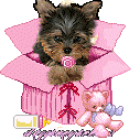 V�ce smajl�k� ke sta�en�
