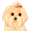 V�ce smajl�k� ke sta�en�