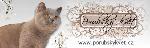 Chovatelska stanice ps�: PORUBSK� KV�T, CZ