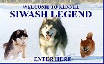 Chovatelska stanice ps�: SIWASH LEGEND